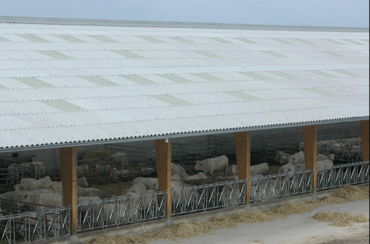 Plaque ondulée fibre-ciment Plakfort ondes pas 177/51 ton naturel  1,095x2 m 6,5 mm