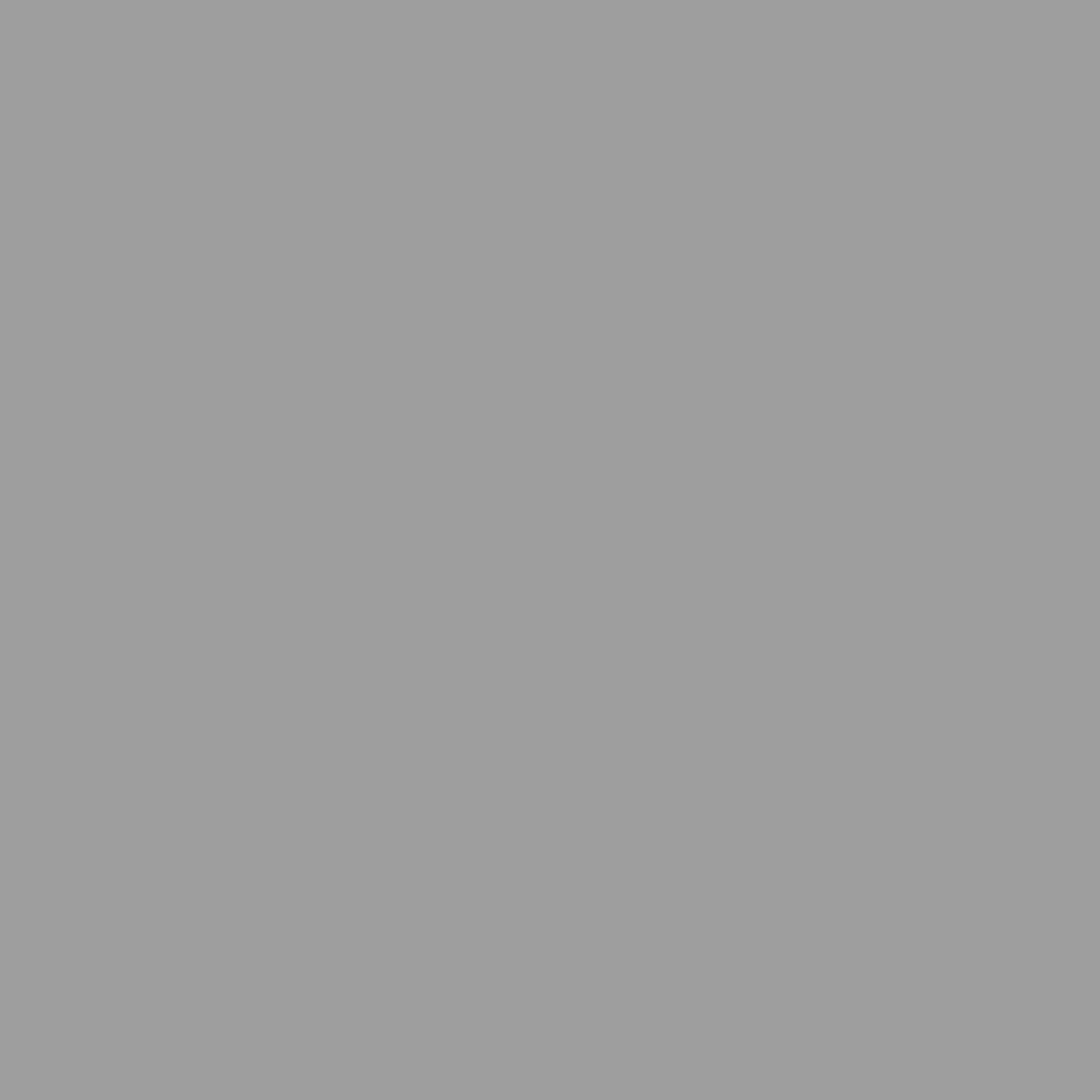 Peinture crème de couleur monocouche - titanium mat - pot 0,5 l