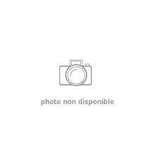 Marteau agrafeur SHT-F + 54000 agrafes 10mm, réf. 8000198